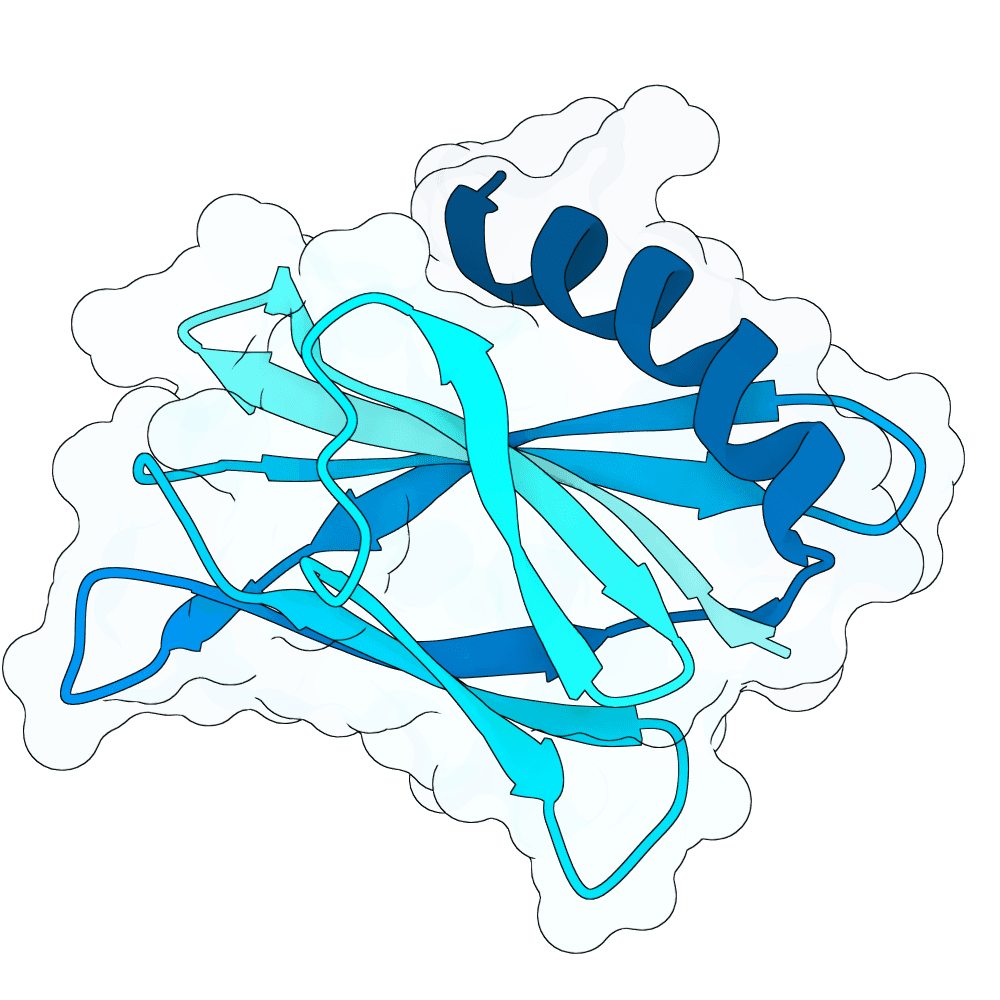 lunar-falcon-crystal