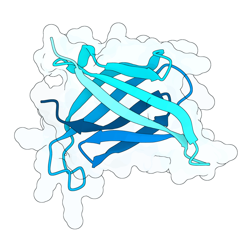 quiet-jaguar-cypress