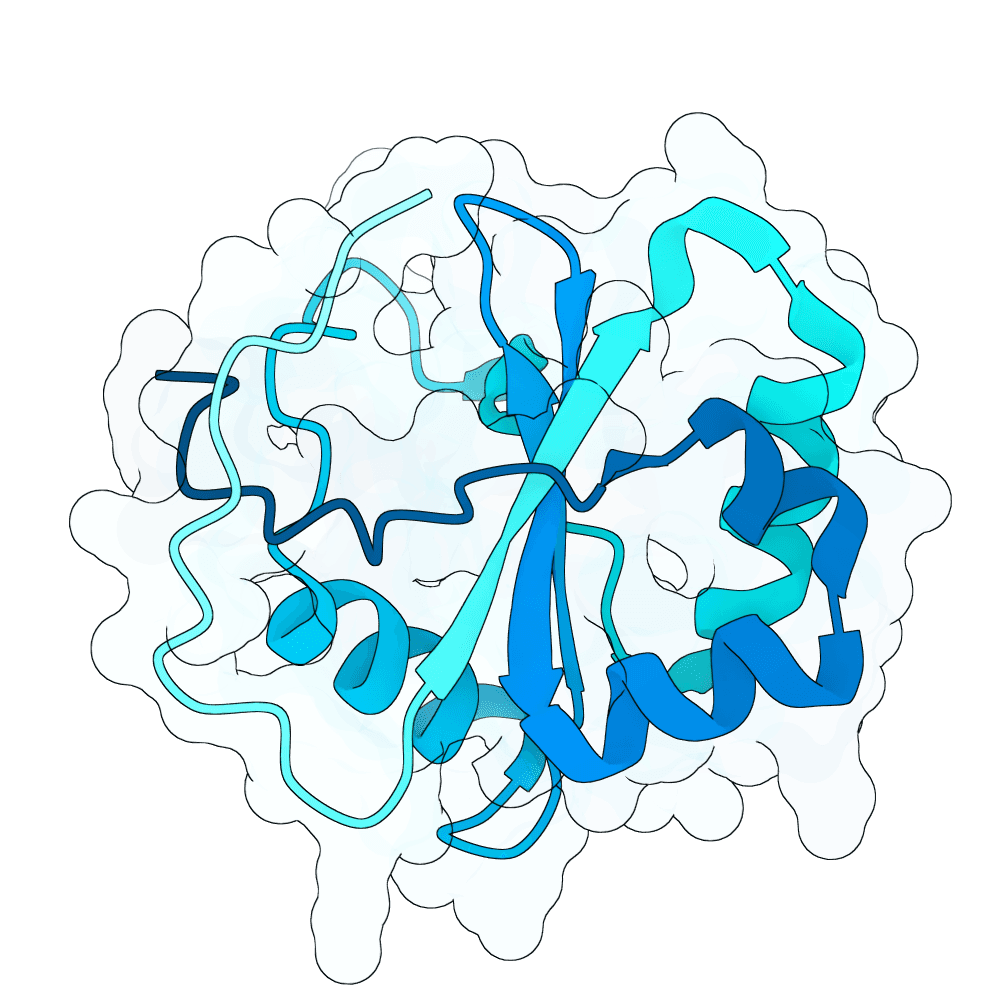 frozen-shark-crystal