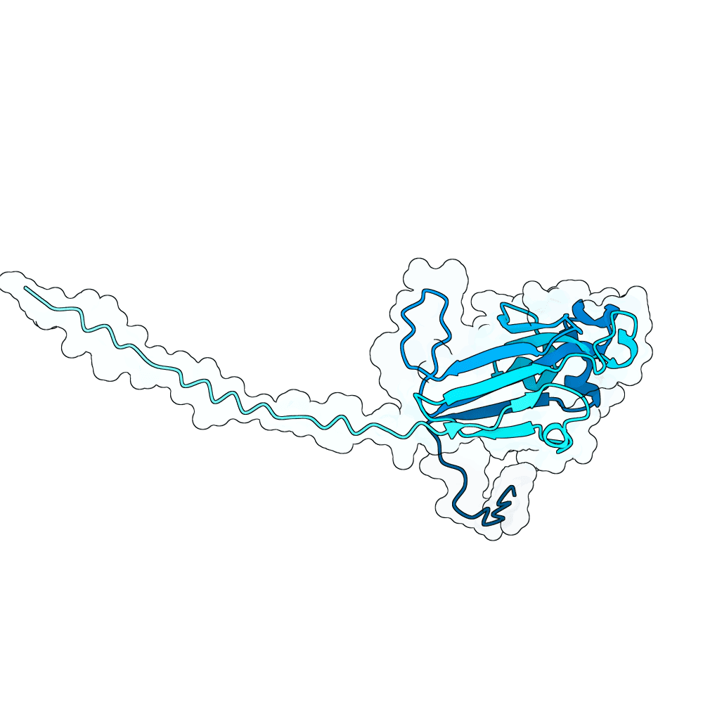 hollow-jaguar-bronze