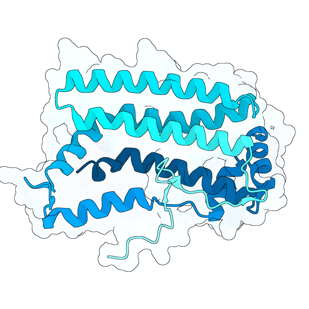 crimson-deer-cypress