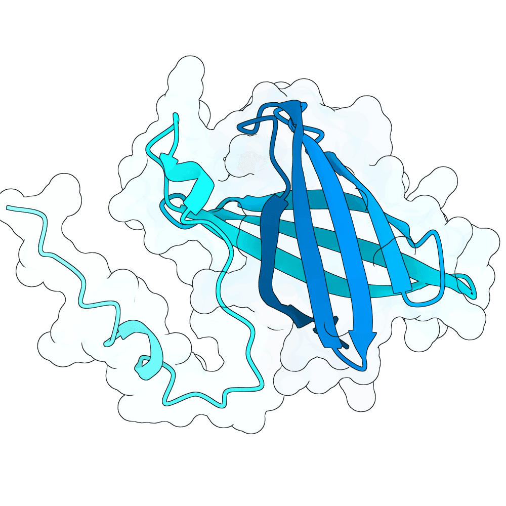 crimson-otter-bronze