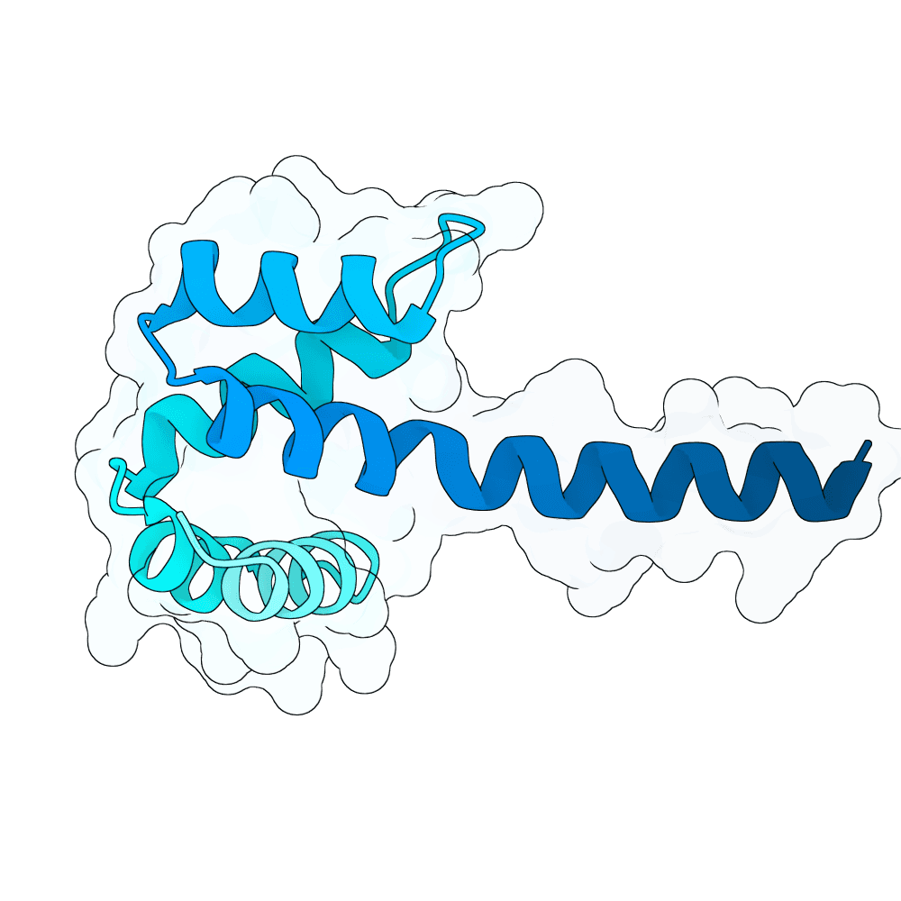 frozen-panther-cypress