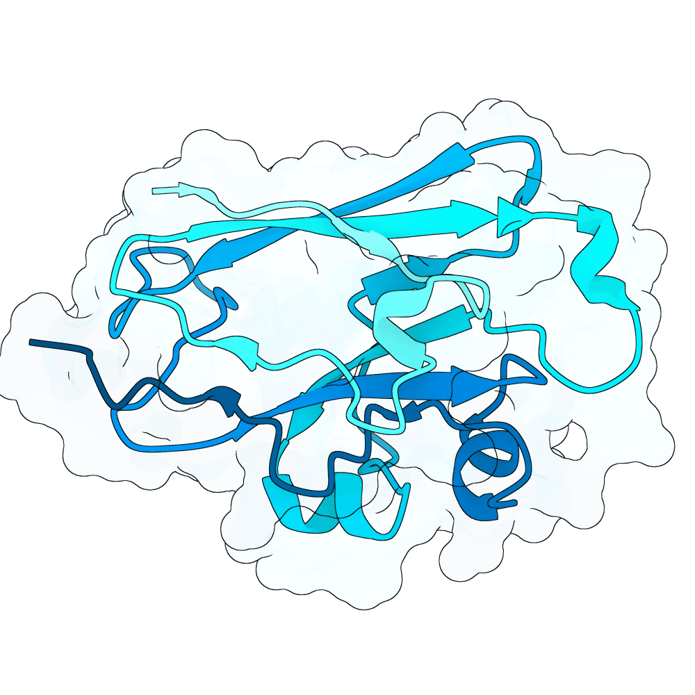 silent-heron-crystal