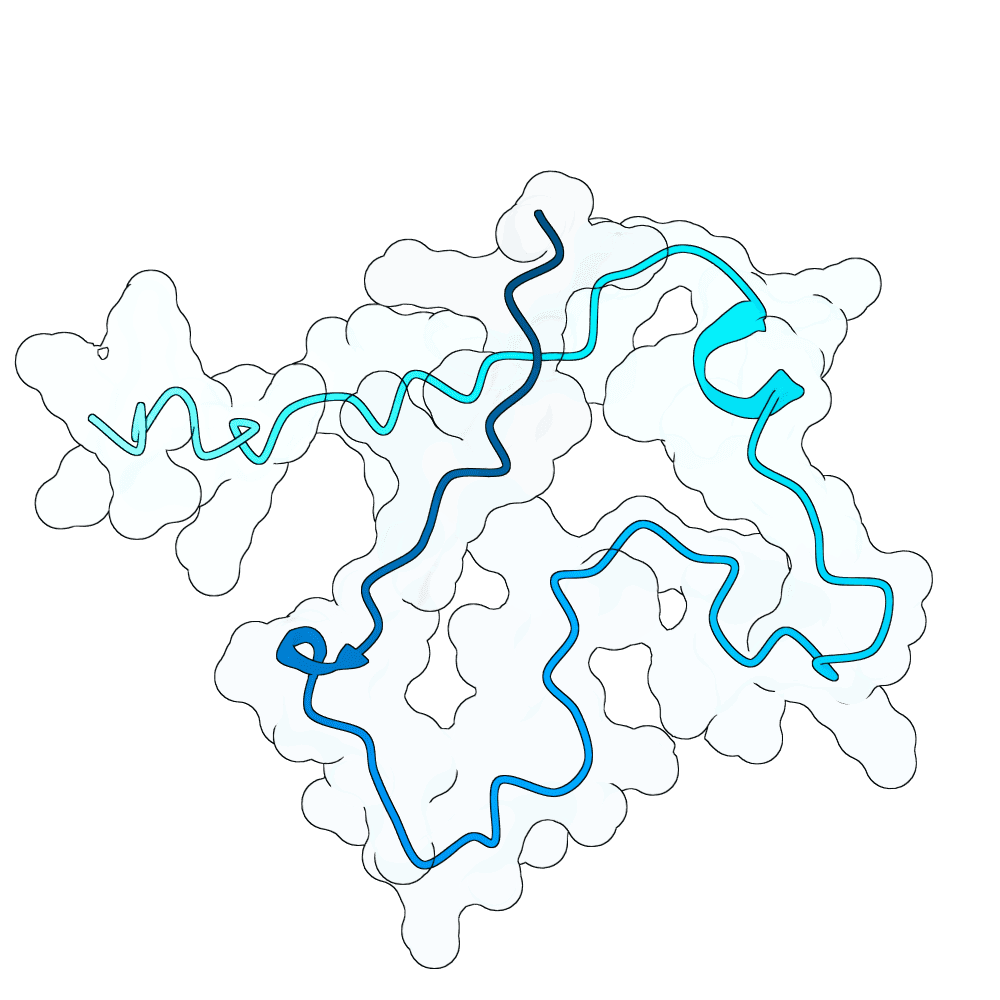 bright-otter-granite