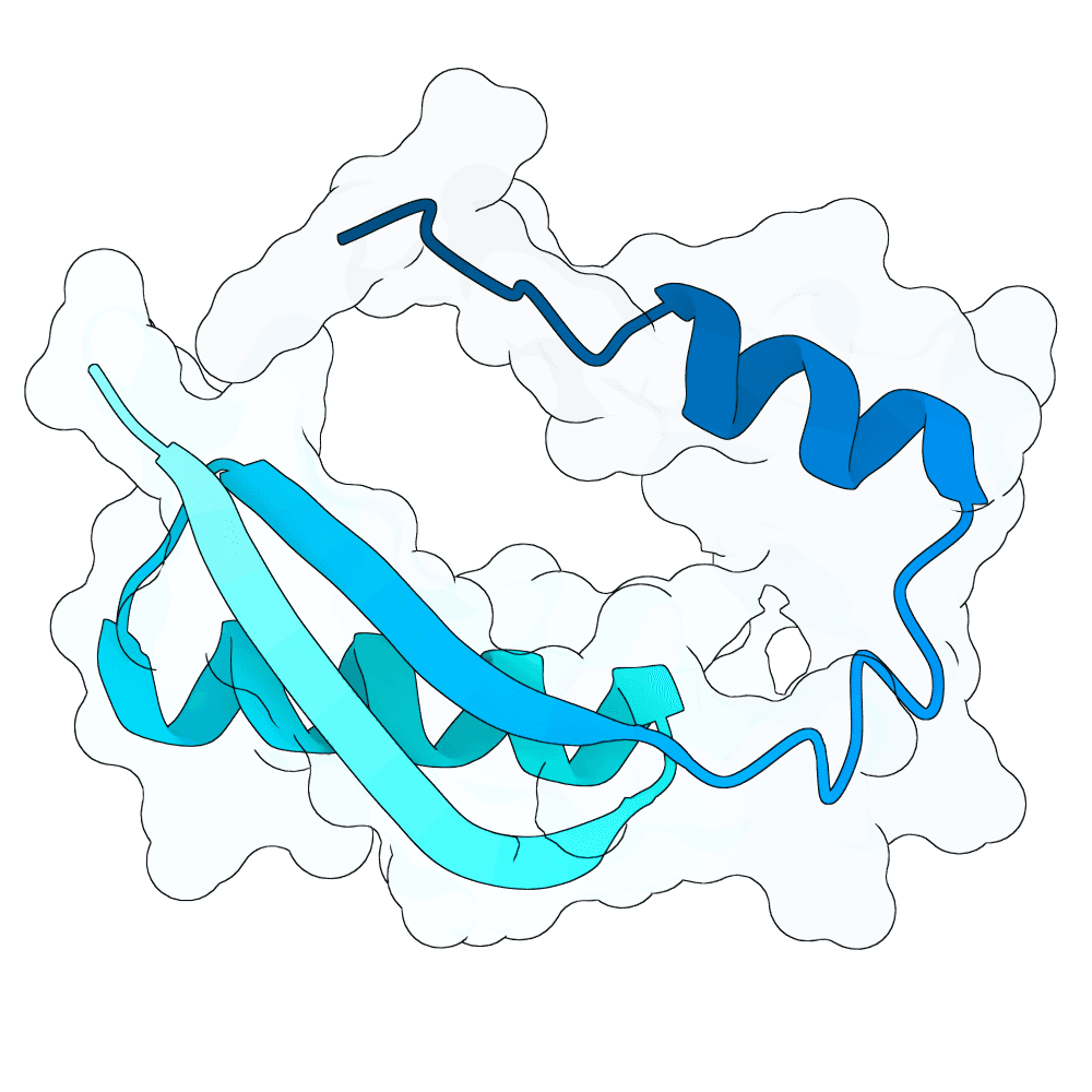 frozen-panther-pearl