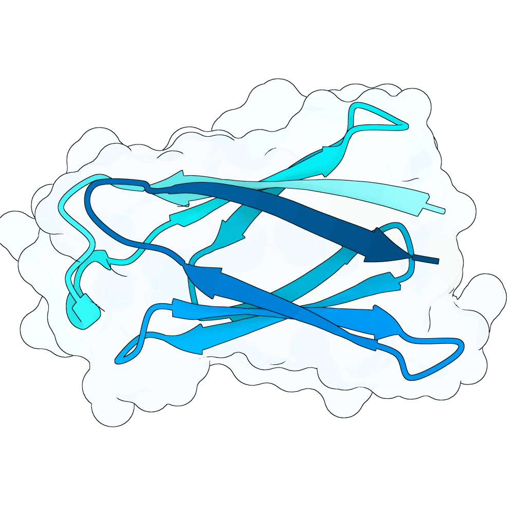 bright-jaguar-marble