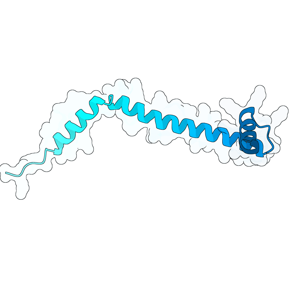 mellow-heron-cypress