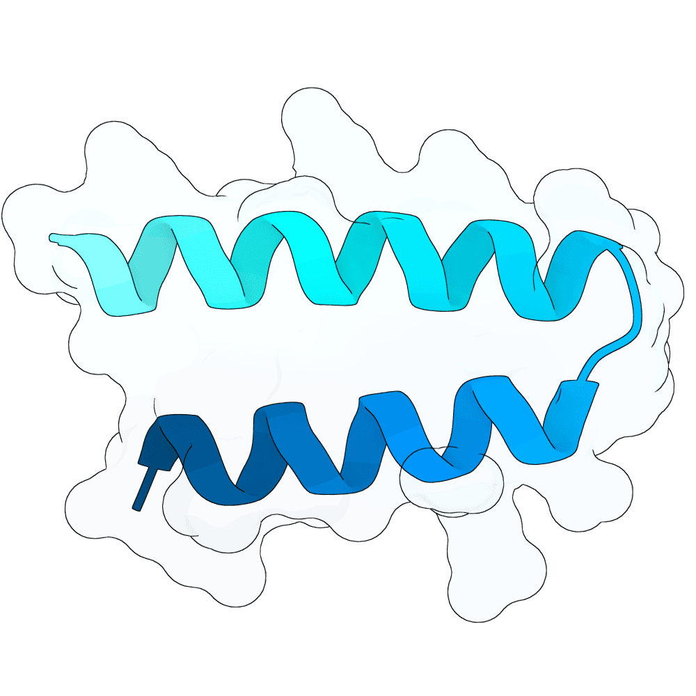 frozen-zebra-crystal