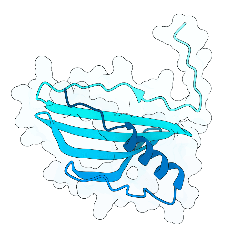 brisk-panther-willow