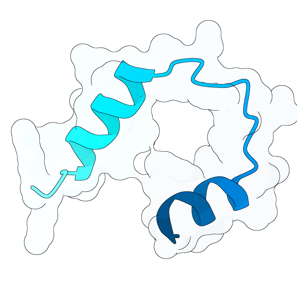 quick-jaguar-crystal
