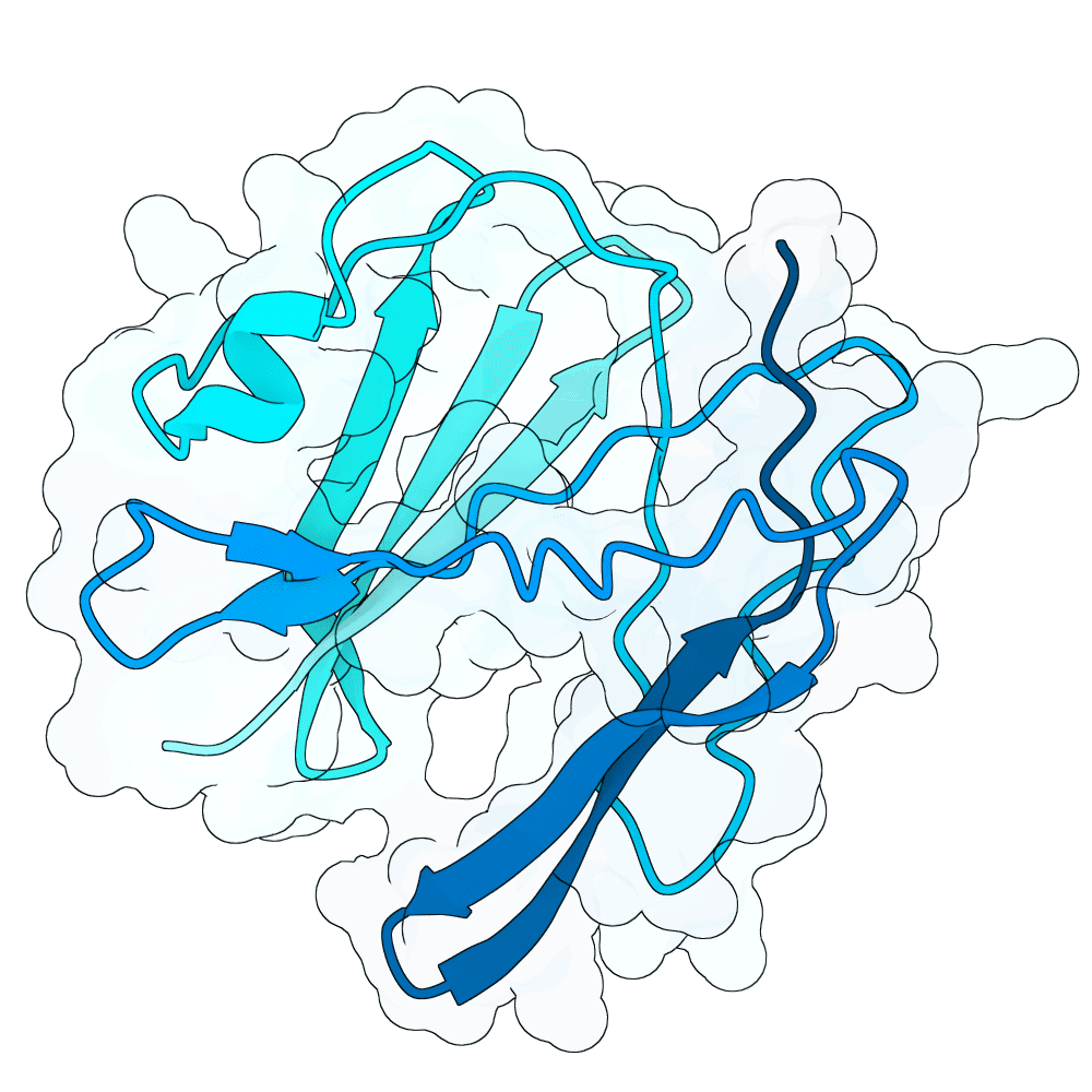steady-gecko-cypress