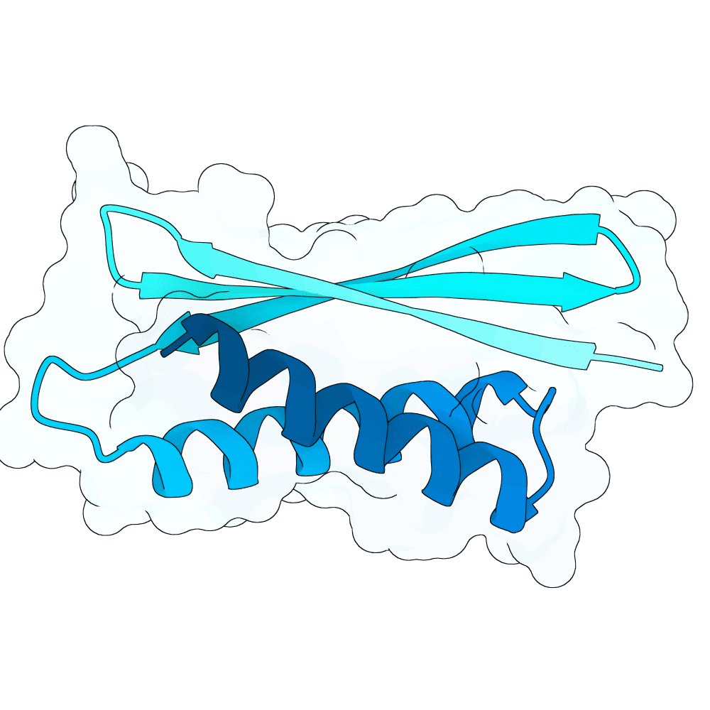 strong-jaguar-granite