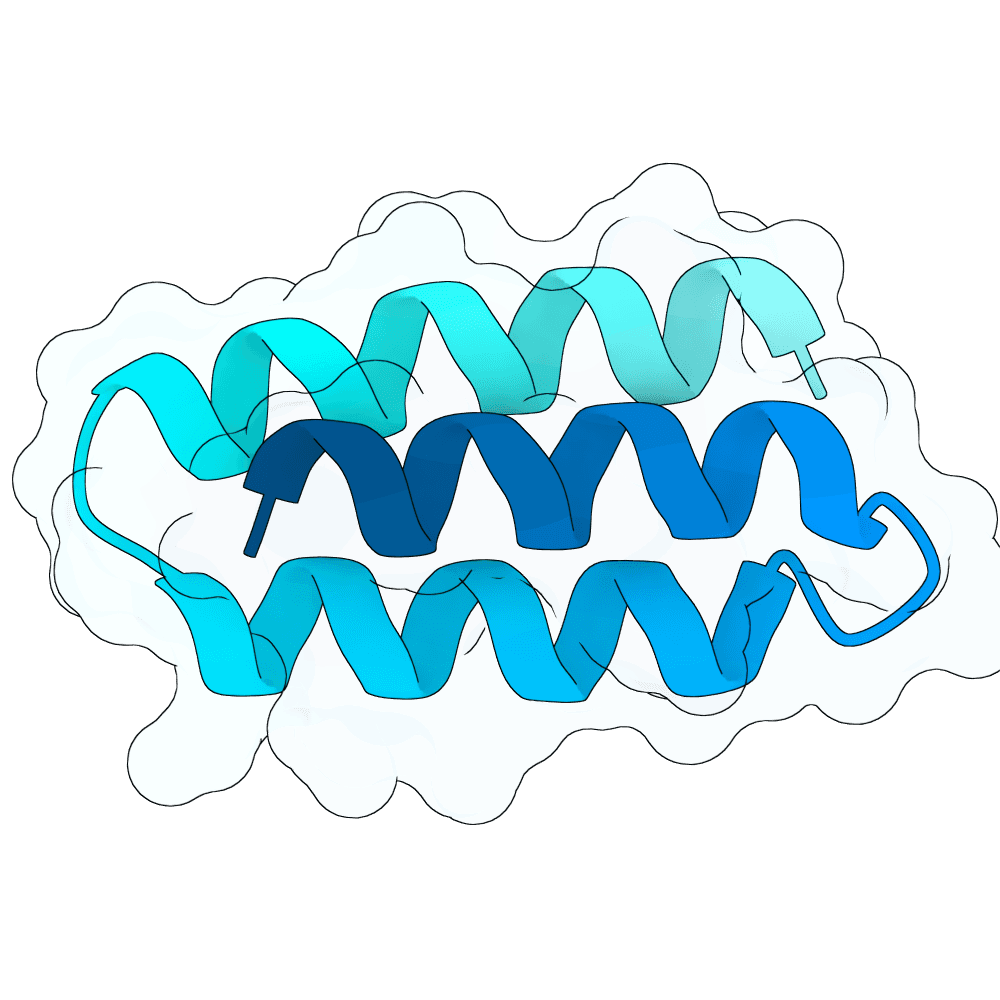 bright-quail-granite