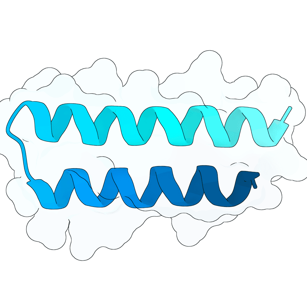 radiant-wolf-granite