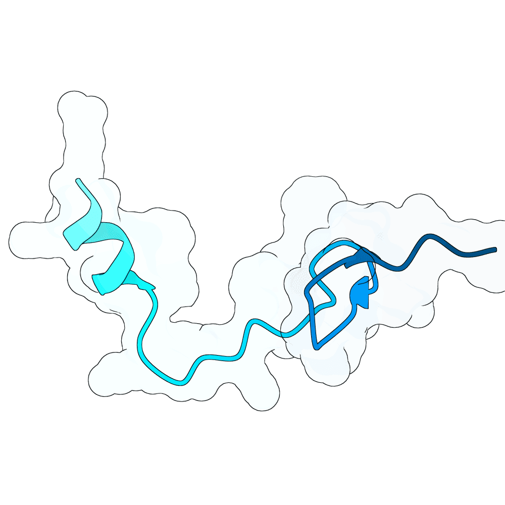 hollow-panda-granite
