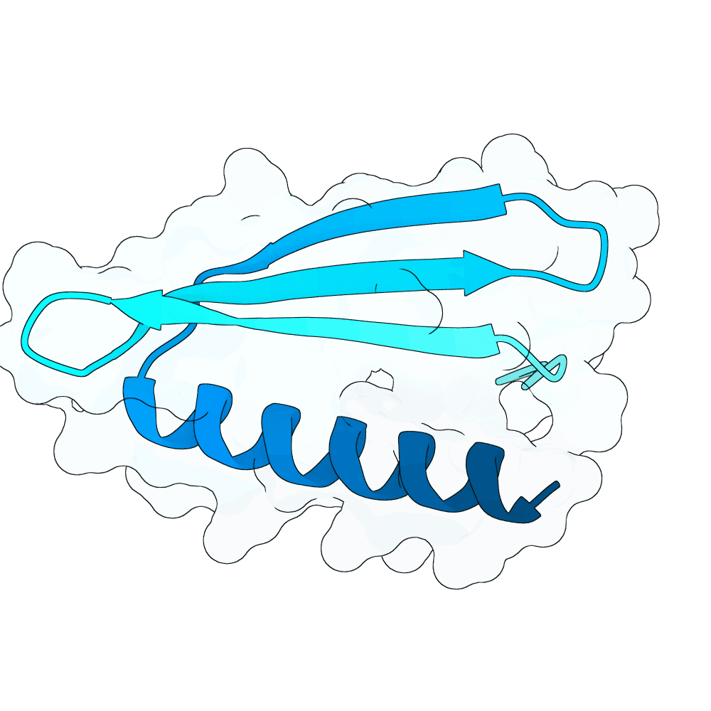 hollow-panther-plume