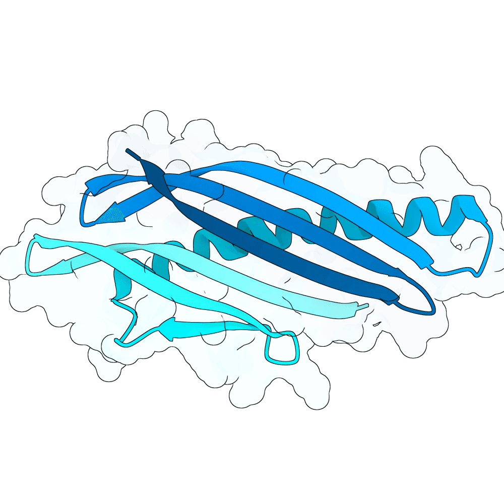 silver-panther-maple