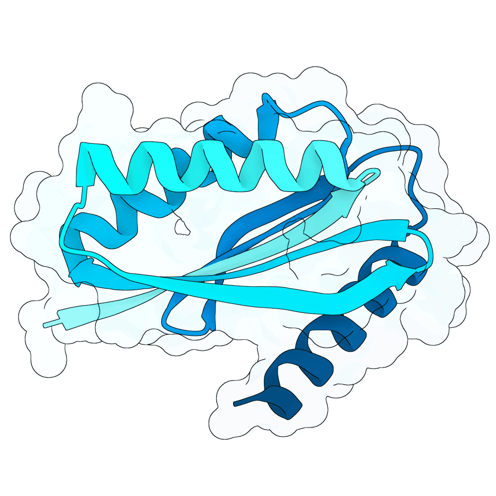 bright-shark-crystal