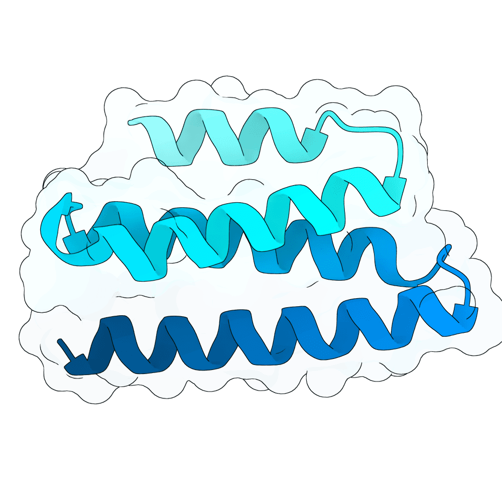 rapid-lynx-granite