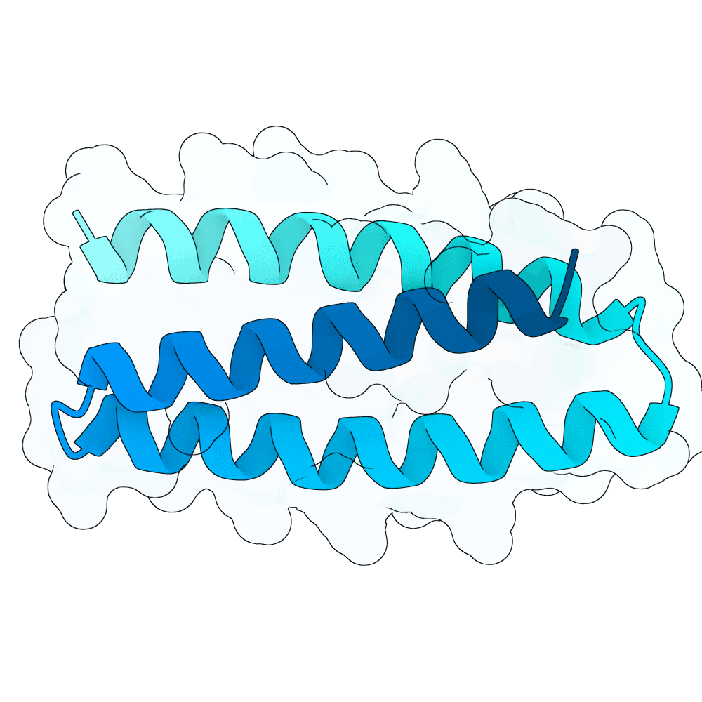 misty-lion-opal