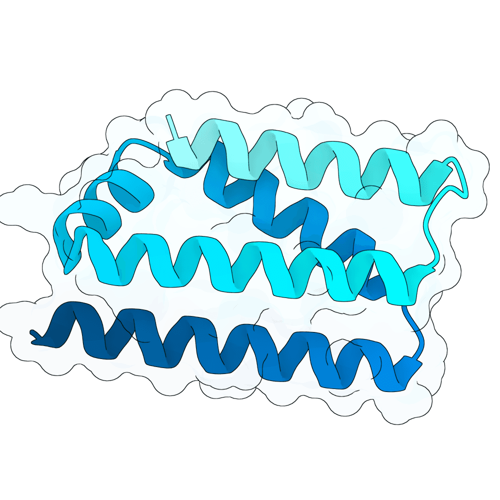 azure-bear-leaf