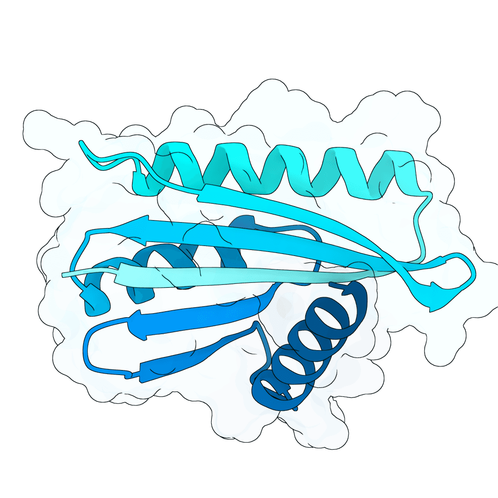 radiant-jaguar-jade