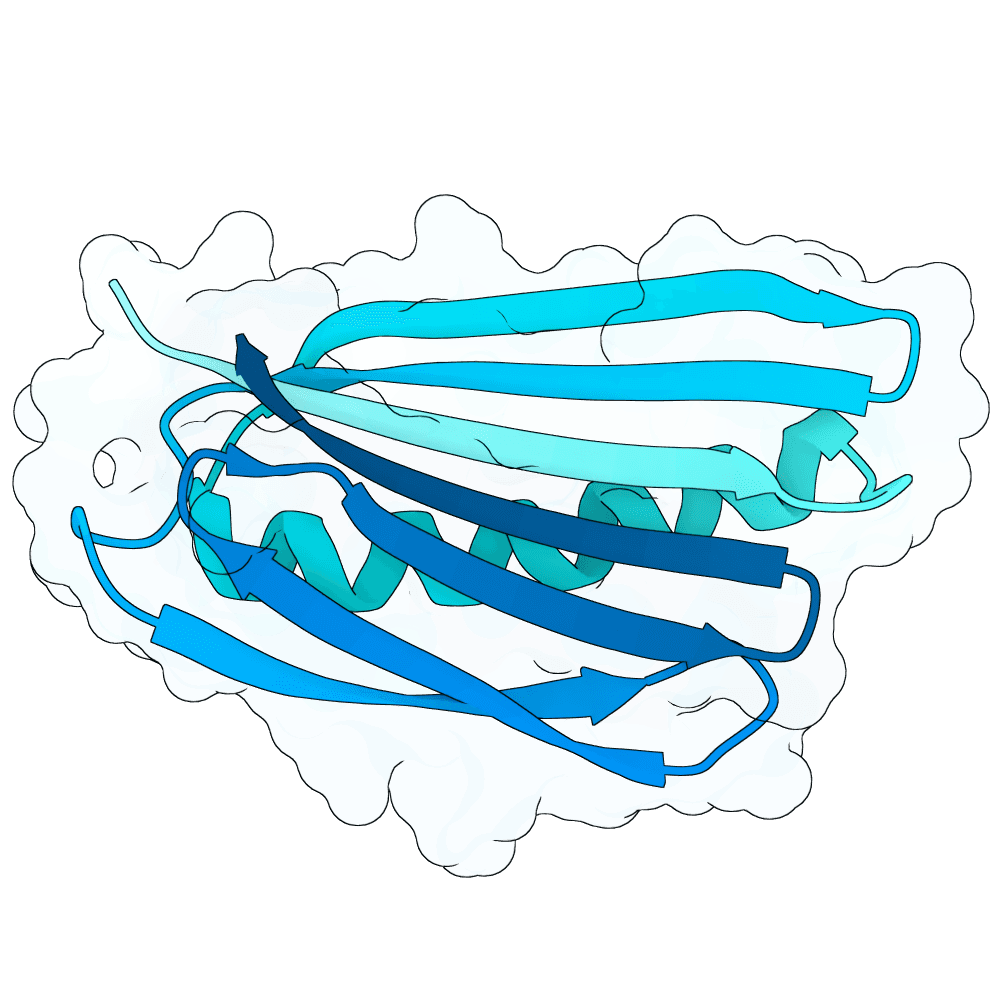 rough-seal-jade