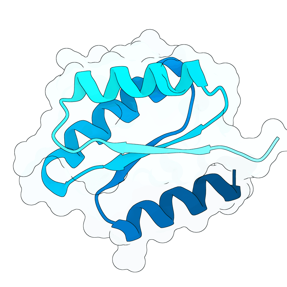 radiant-cobra-bronze