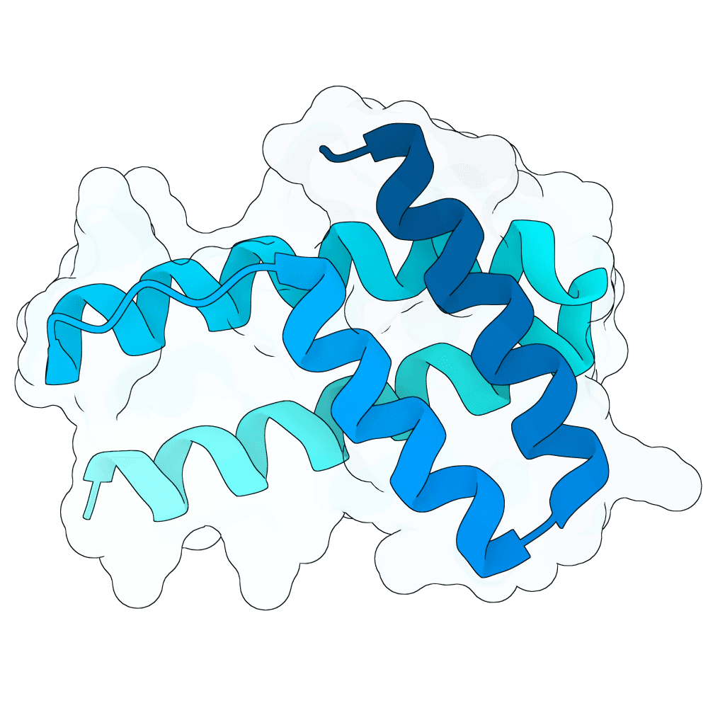 steady-zebra-crystal