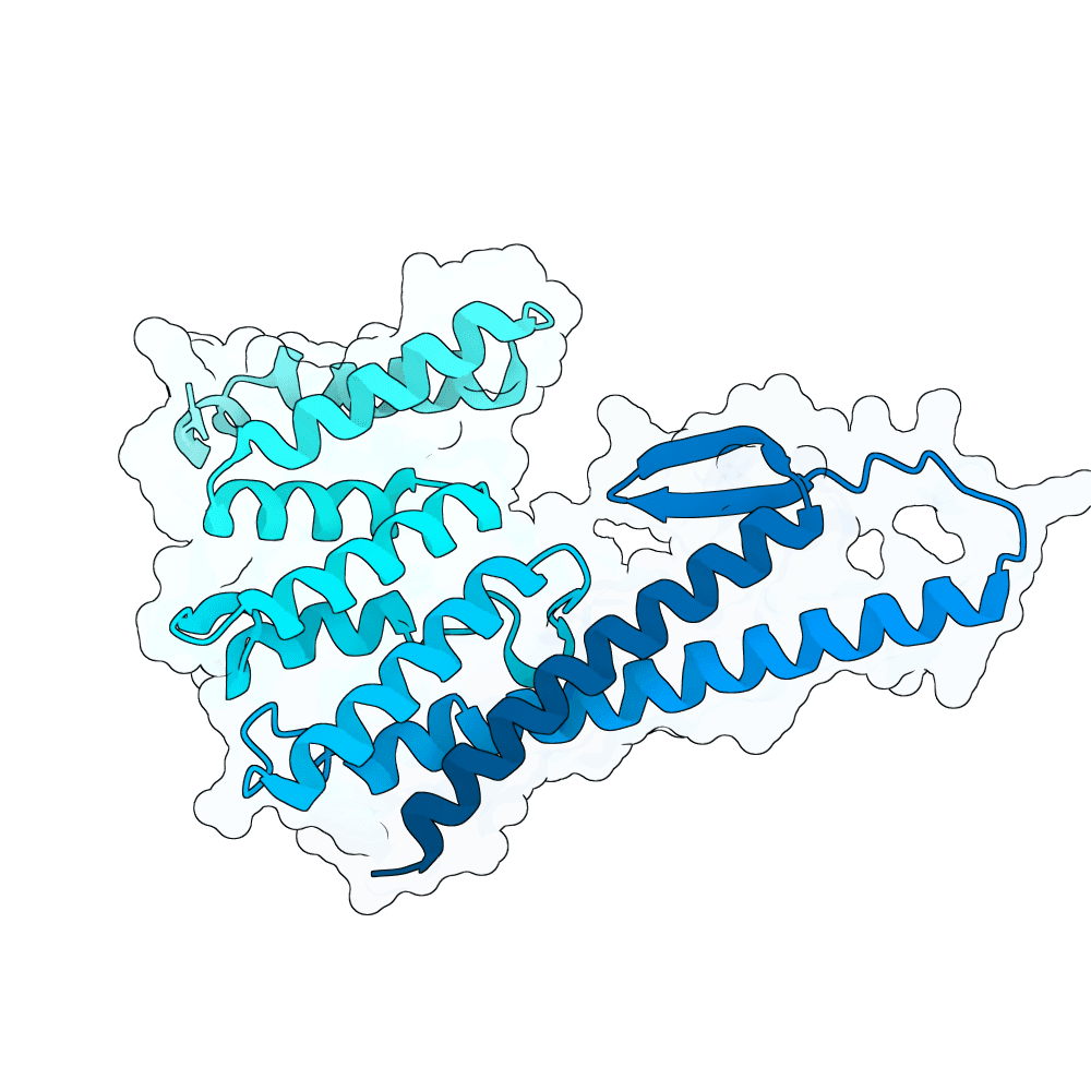 strong-panda-cypress