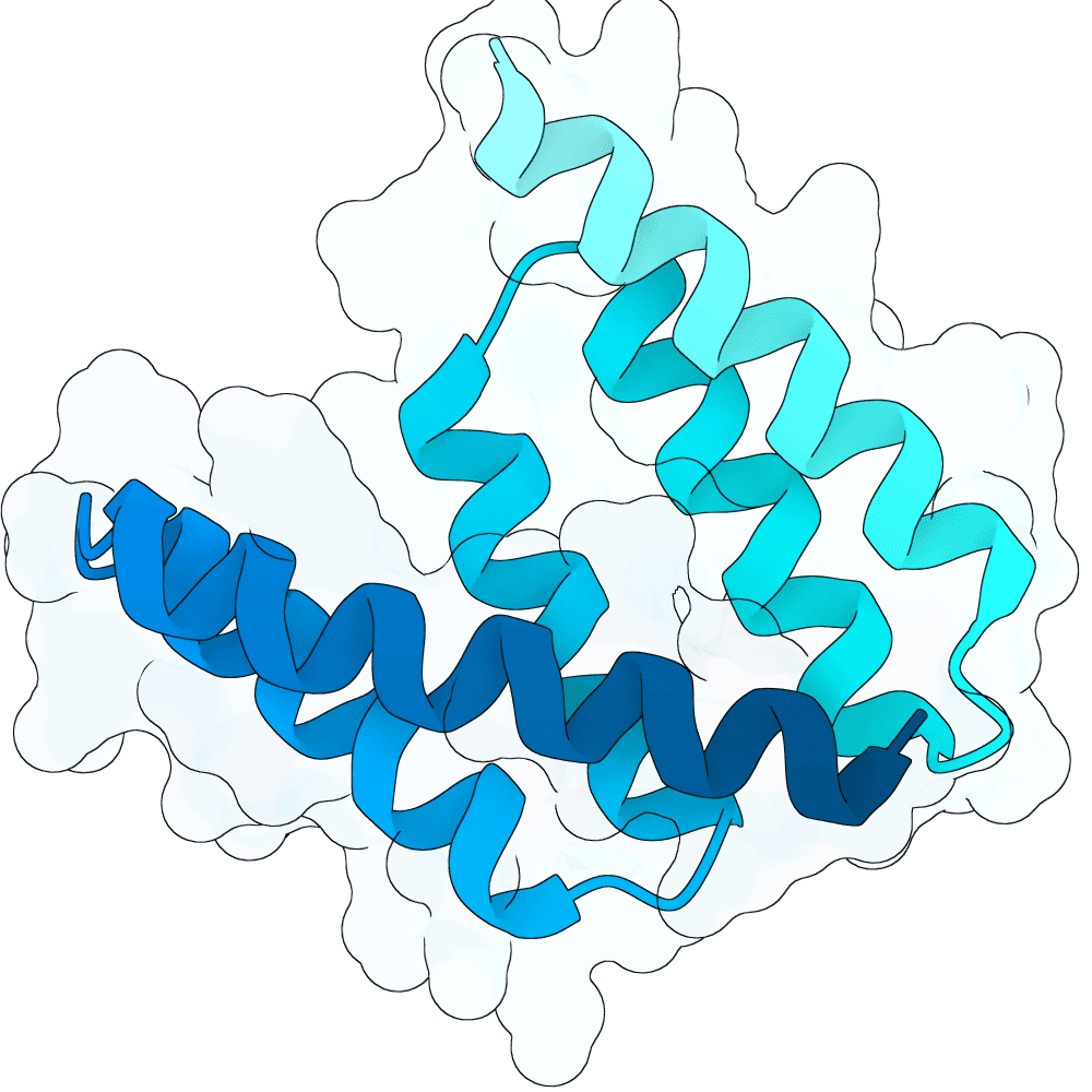 noble-panther-willow