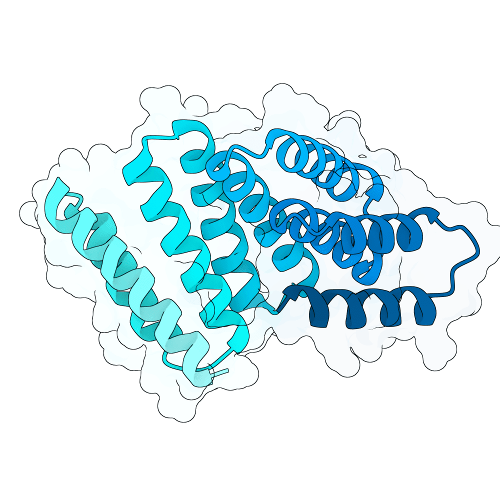 mellow-gecko-crystal