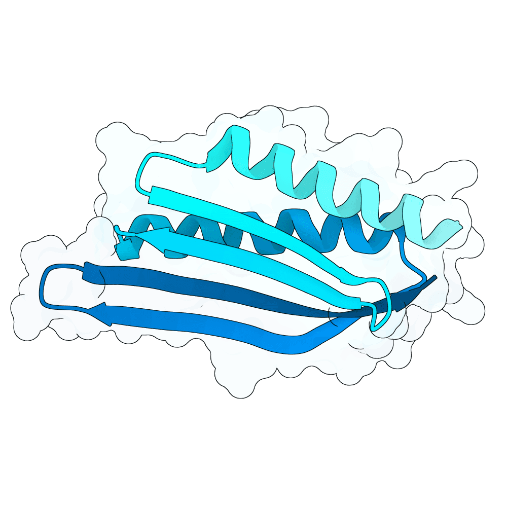 silent-panda-cypress