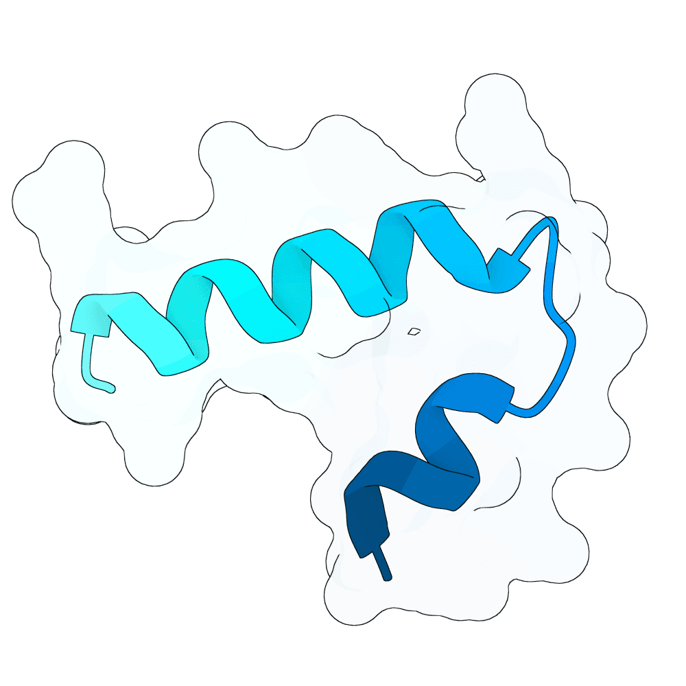 silent-falcon-marble