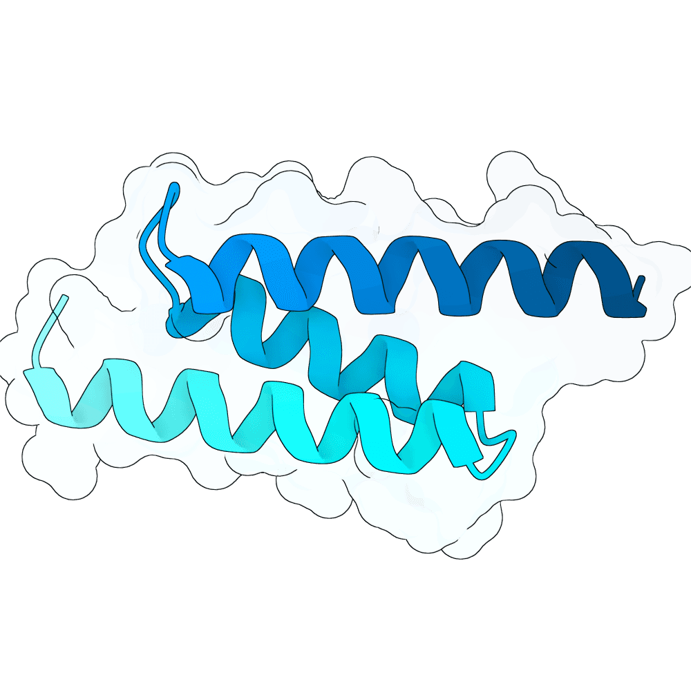 scarlet-raven-willow