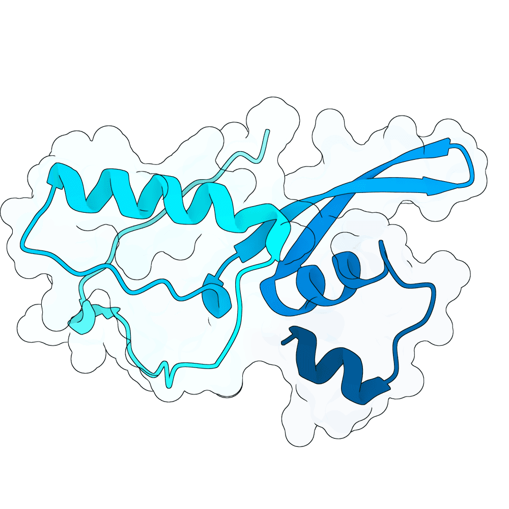 silent-ibis-ice