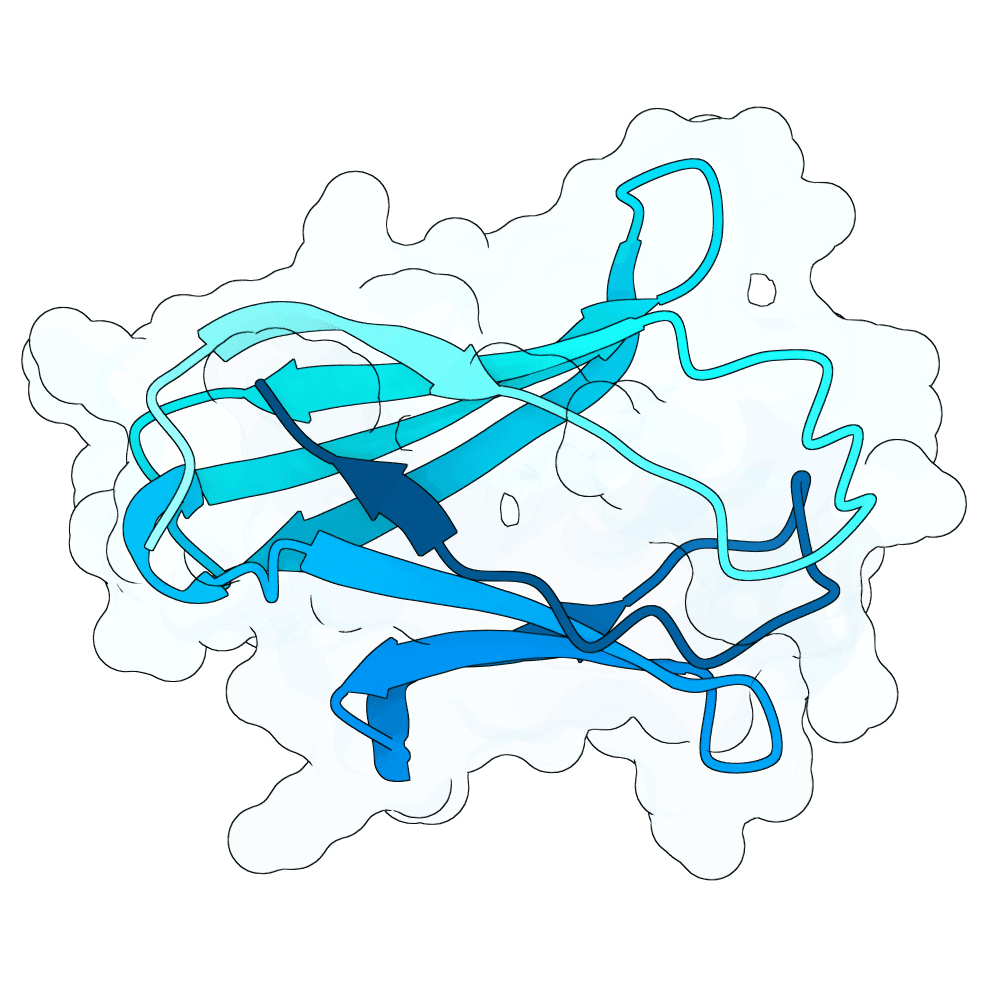 bright-boar-marble