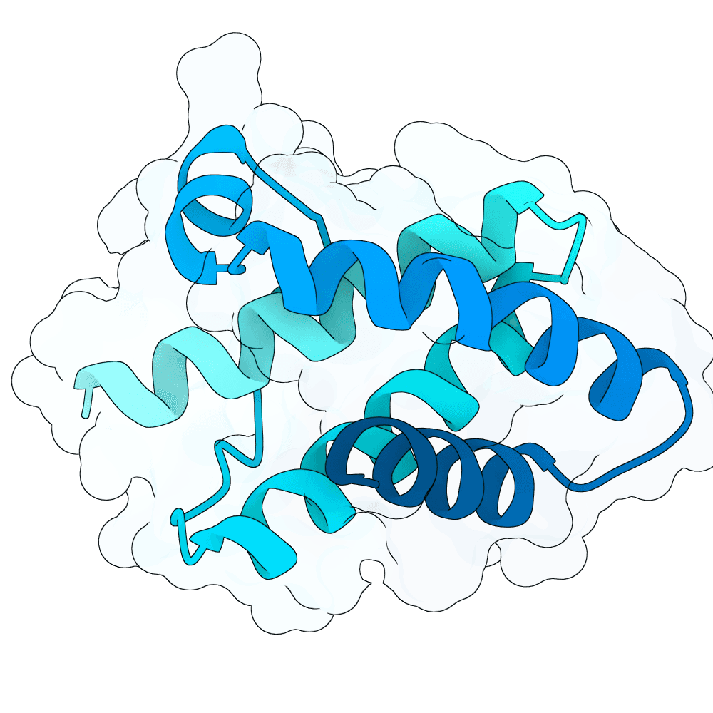 mellow-fox-opal
