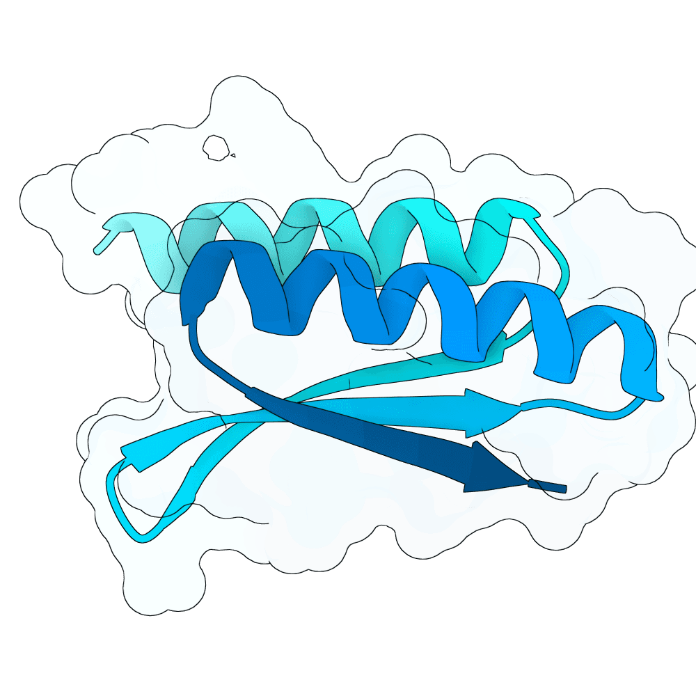 small-wolf-cloud