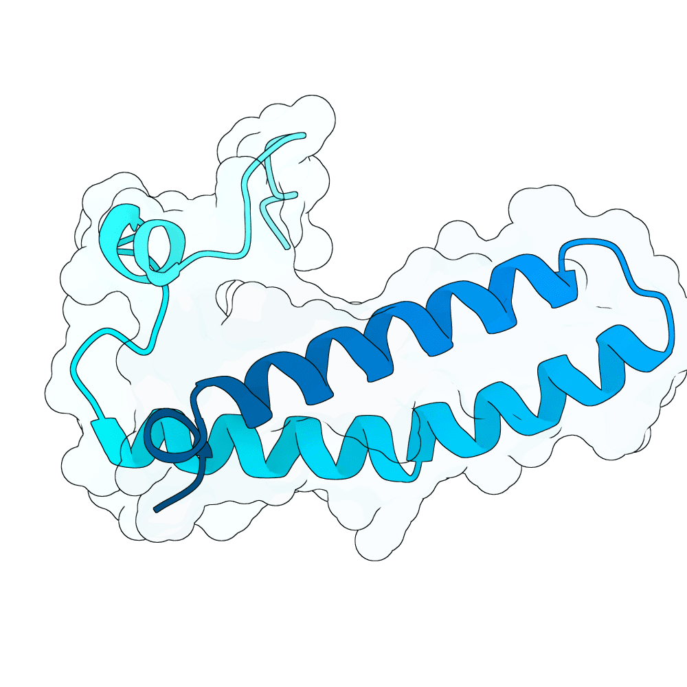jade-swan-cloud