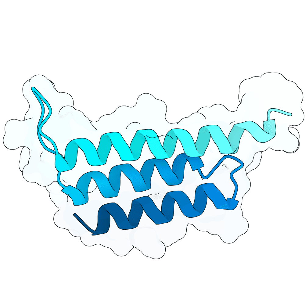radiant-bat-wave