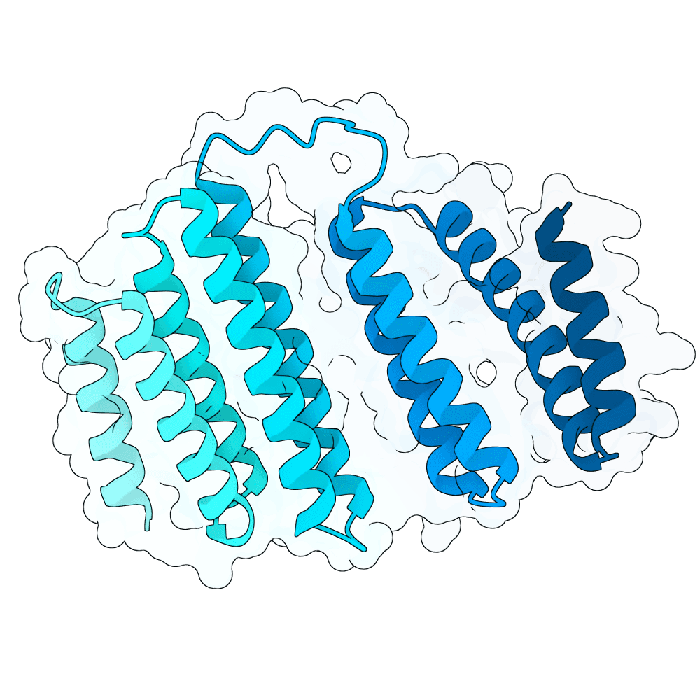 jade-ibis-iron