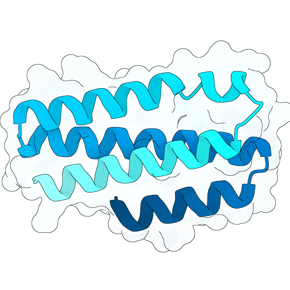 hollow-moth-wave