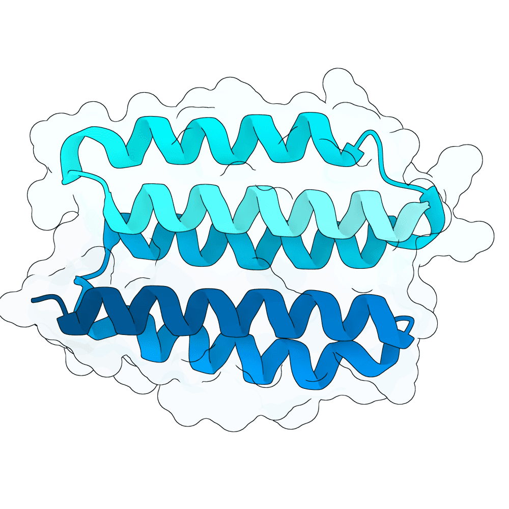 radiant-orca-cedar