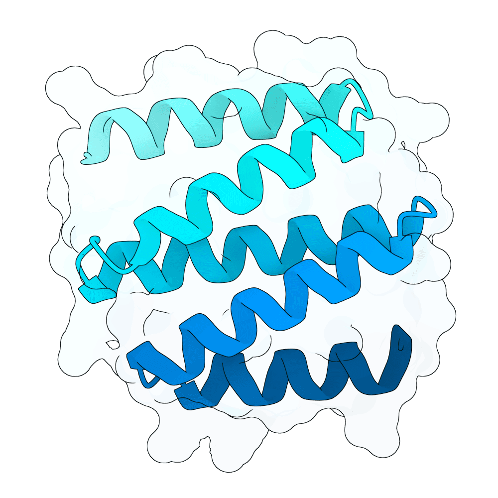 rapid-gecko-thorn