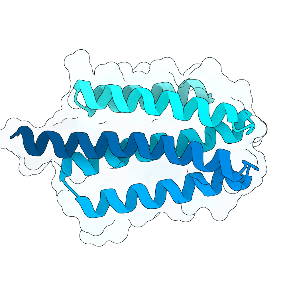 jade-kiwi-wave