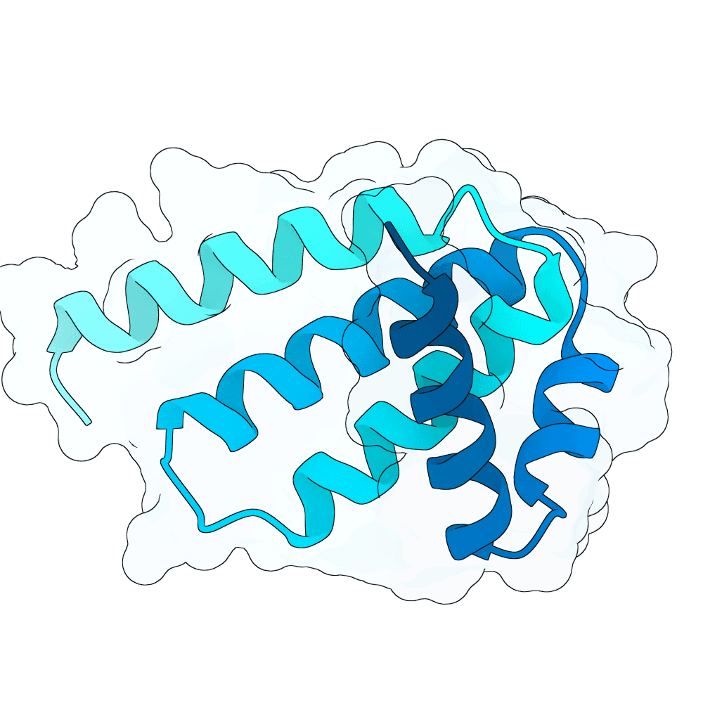 azure-eagle-lotus