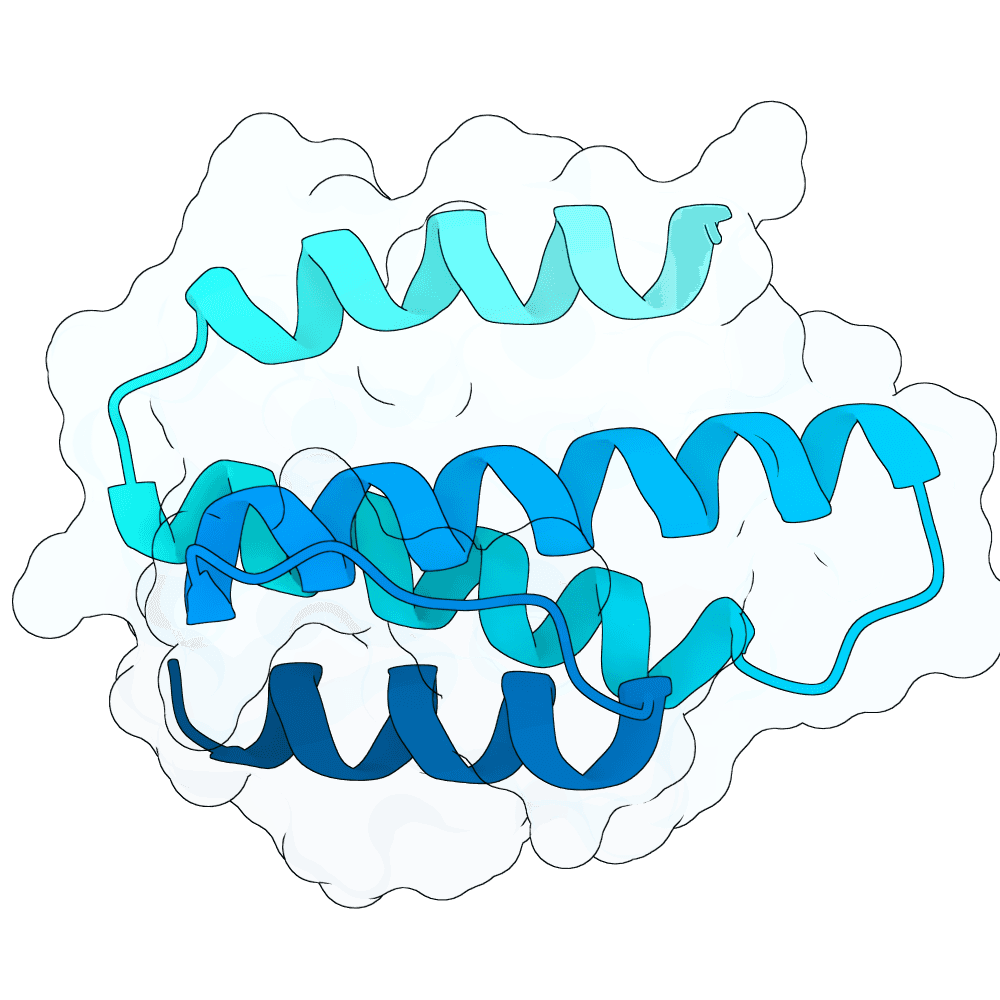 rough-lynx-thorn