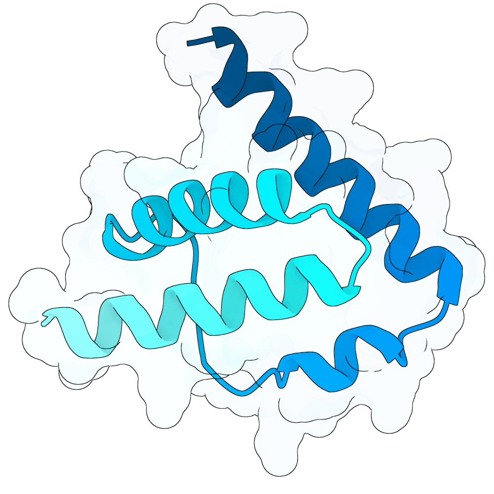 azure-lynx-maple
